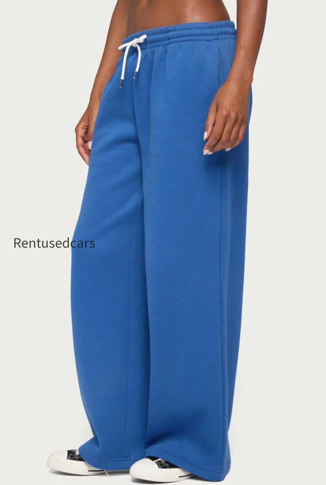 s13040_blue