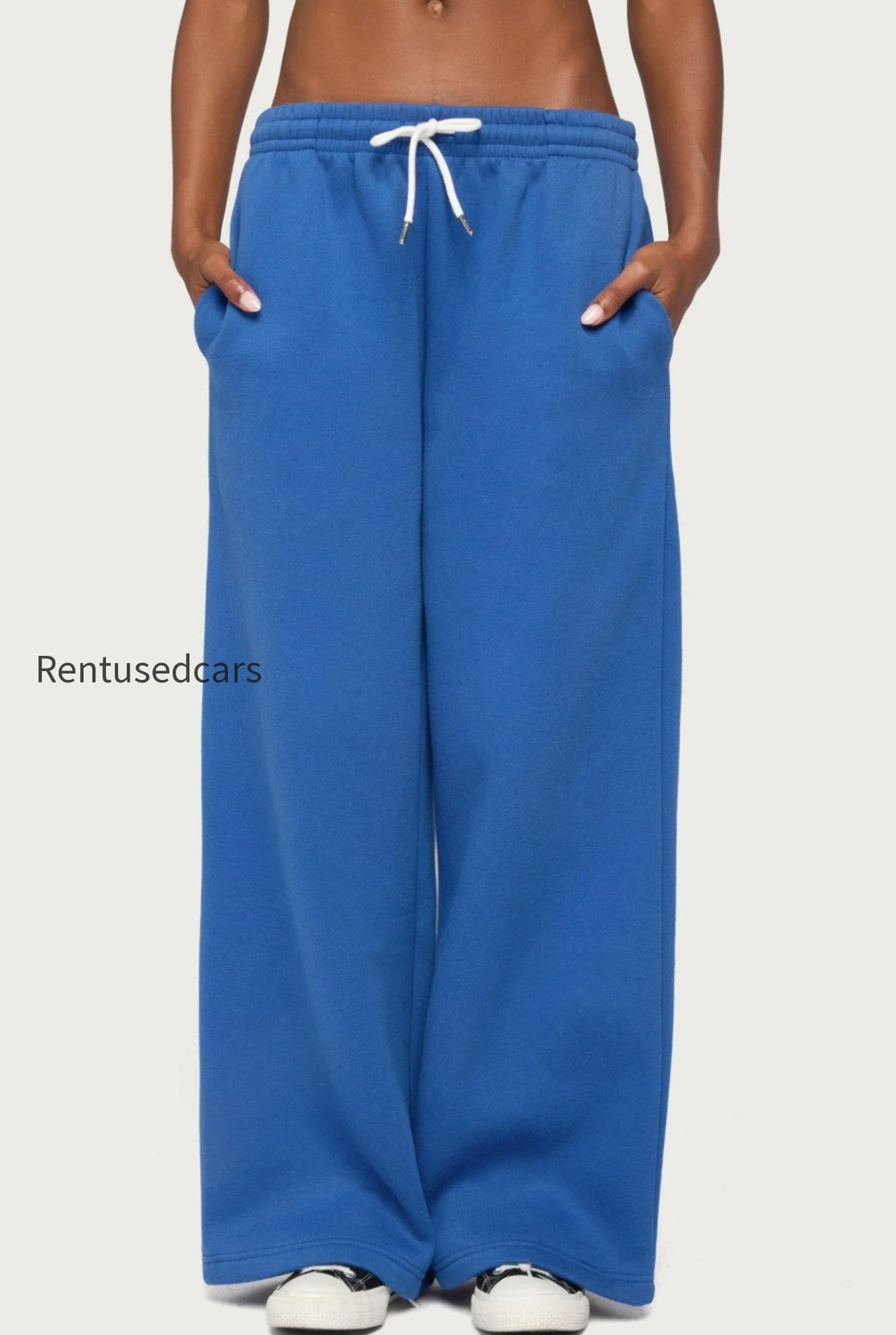 s13040_blue