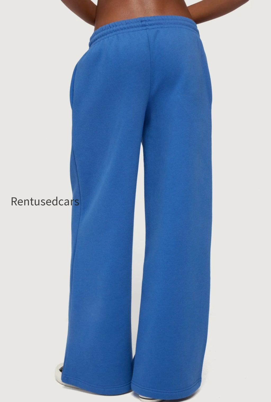 s13040_blue