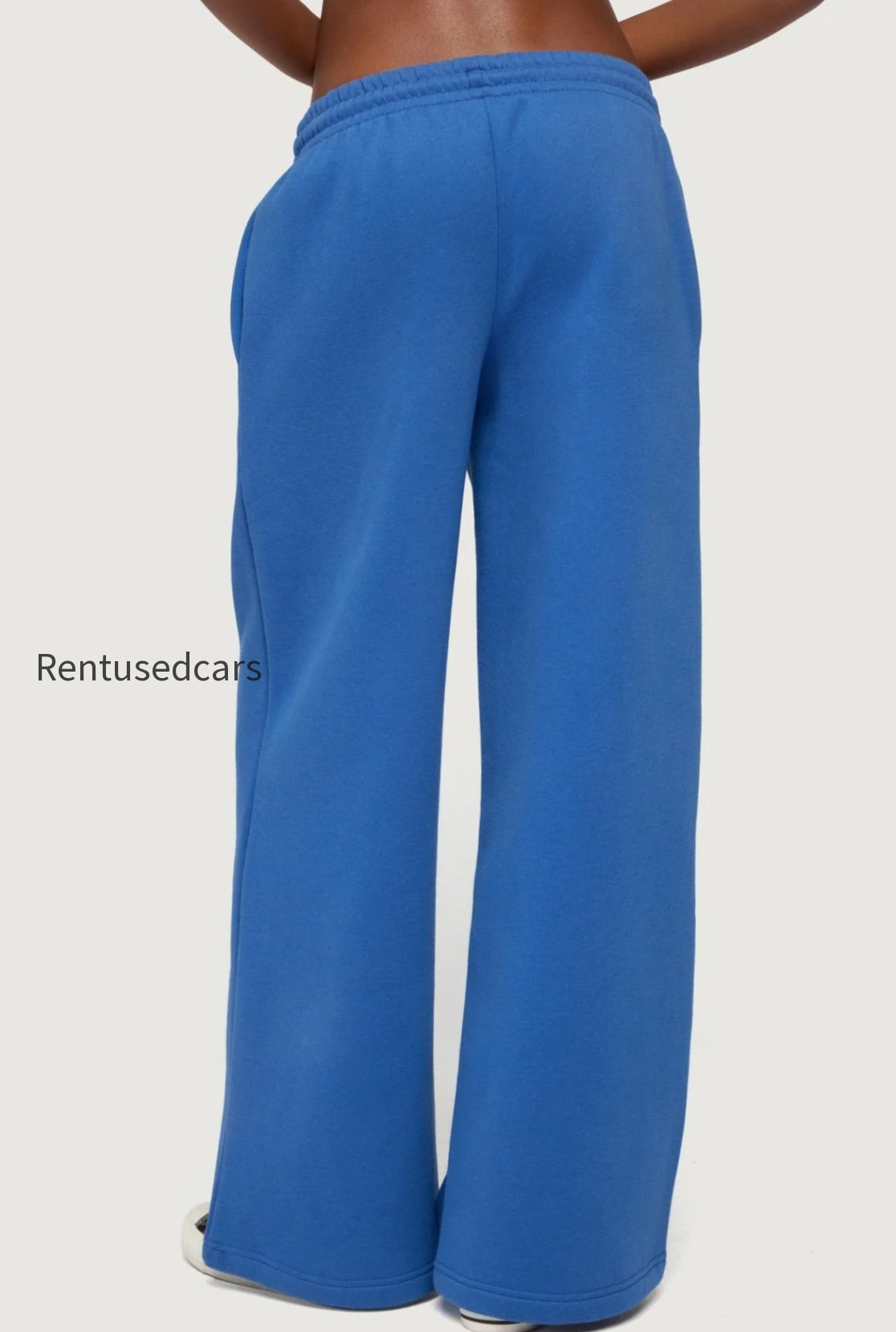 s13040_blue
